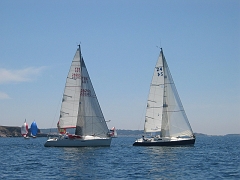 la solitaire 162
